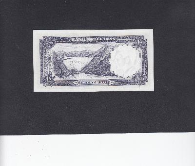 Beschrijving achterzijde: DAM